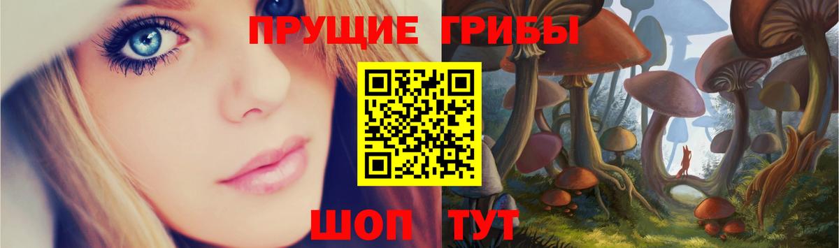 Рассказово  наркота  Вход с VPN  Псилоцибиновые грибы мицелий  Псилоцибиновые грибы GOLDEN TEACHER 